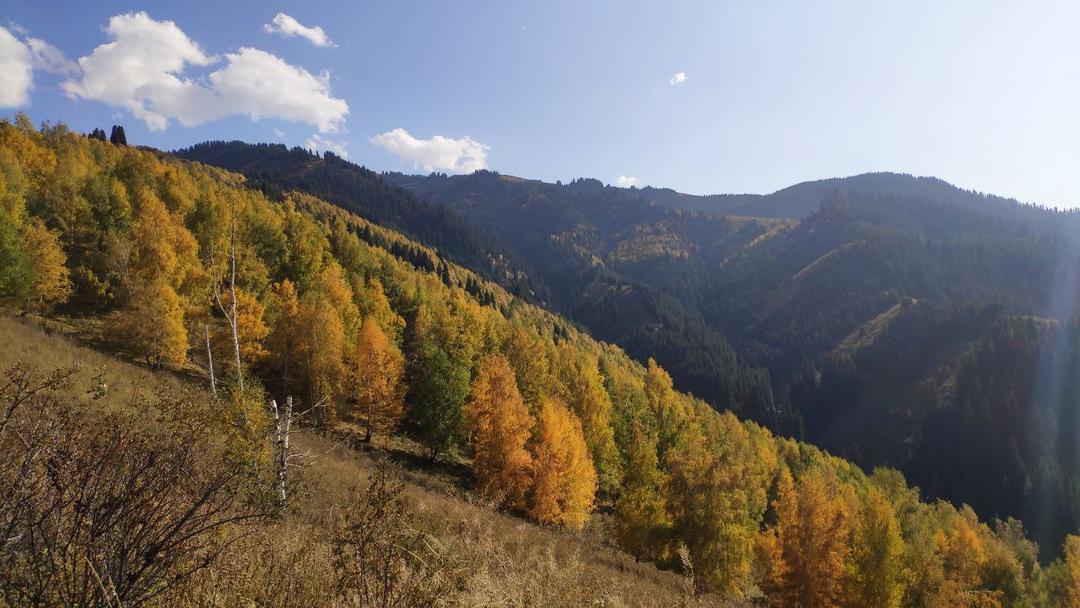 exploring-the-scenic-sary-jaz-valley-in-tien-shan