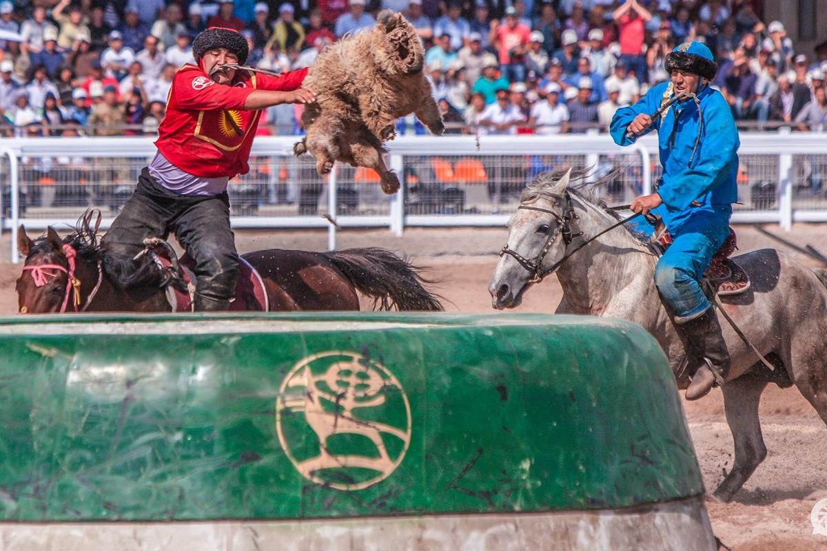 Kok-Boru Game: History, Rules, Experience